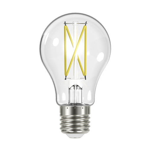 Light Bulb
